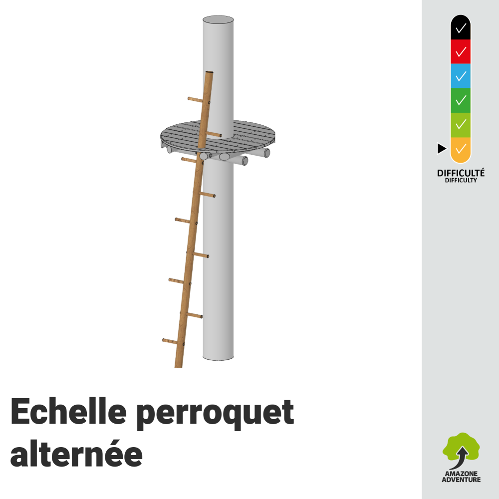 Echelle perroquet alternée
