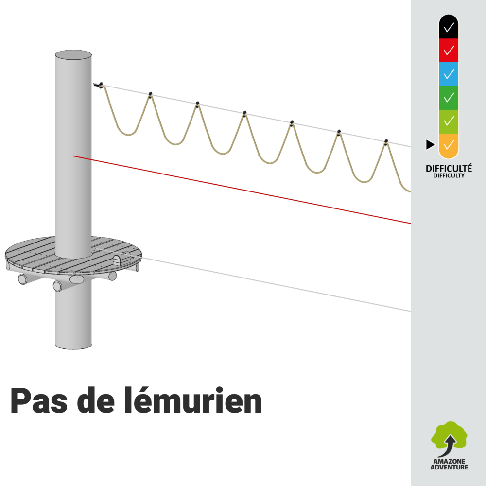 Pas de lémurien