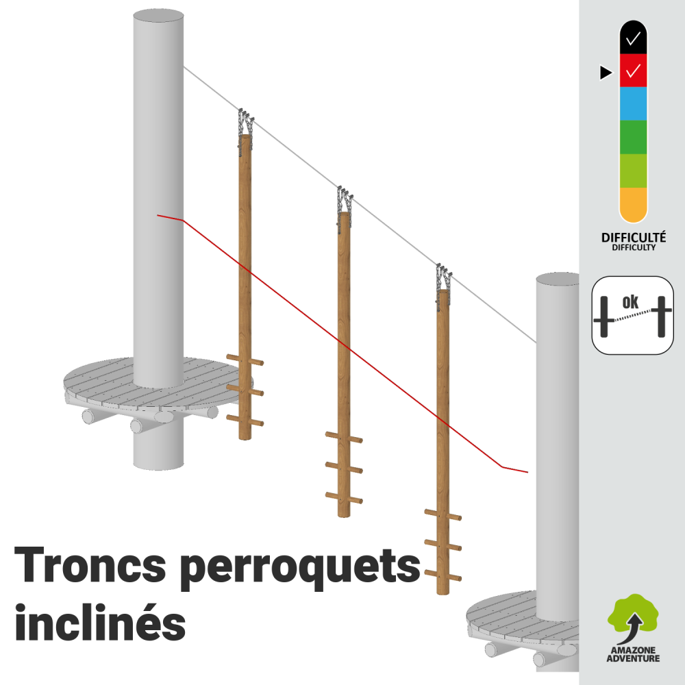 Troncs perroquet inclinés