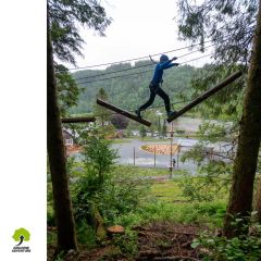 Tronc bascule pour parcours accrobranche