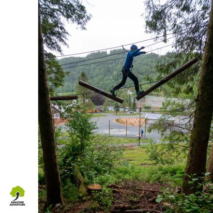 Tronc bascule pour parcours accrobranche