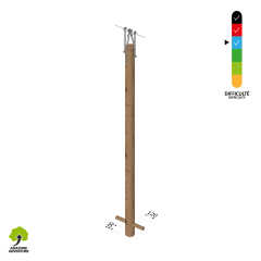 Tronc perroquet simple