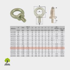Anneau de levage male - Tige courte [M22]